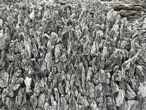 Pietra Seiryu Bianca e Nera per <span class=keywords><strong>Acquario</strong></span>, Pietra Decorativa <span class=keywords><strong>Naturale</strong></span> per Giardino e Paesaggistica, per Acquari e Rocce - Product Image 3