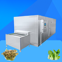 Congélateur fluidisé de champignons à basse température Machine congelée unique pour tofu Hawthorn lock ligne de congélation rapide fraîche