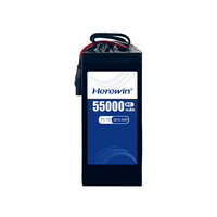 Аккумуляторный блок Herewin 8C 18S1P 71.1V 55000mAh с высокой плотностью энергии, легкий и высоковольтный, для сельскохозяйственных БПЛА-опрыскивателей
