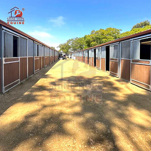 Scuderia per Cavalli in Legno 24x24 Stalle Prefabbricate per Cavalli - Product Image 6