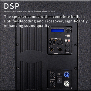 Sistema de Sonido Profesional para Exteriores INSIGAI, Subwoofer con Caja de Madera, Unidad de 10 Pulgadas, 700W de Potencia Programable - Product Image 3
