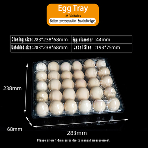 2025 <span class=keywords><strong>New</strong></span> Arrival mạnh mẽ Pet nhựa rỗng khay trứng thiết kế trọng lượng nhẹ Stackable vỉ quá trình cho dễ dàng trứng lưu trữ - Product Image 6