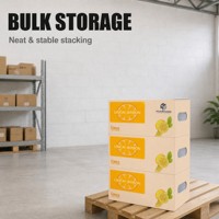 Boîte en carton ondulé pour fruits, réutilisable, empilable, robuste, ventilée, pour conserver les concombres, les tomates et les pommes de terre
