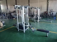 ST-4027 Appareil de musculation multifonctionnel tout-en-un pour salle de sport et usage domestique, station 5 postes pour triceps, jambes et exercices de gainage