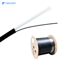 Pabrik Serat Optik Harga Grosir Kabel Serat Optik Luar Ruangan FTTH 1 2 4 Core 1km 2km Kabel Drop