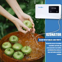 Générateur d'eau ozonée pour l'eau potable Efficace pour tuer les bactéries pour les lave-légumes