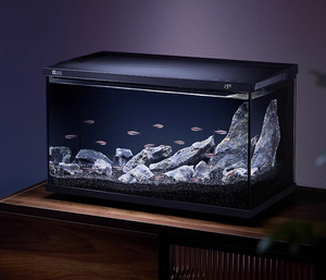 Acuario de Escritorio Moderno e Inteligente de 20L, Ecológico, Compatible con Control Remoto por Aplicación, Fácil de Usar, Ideal para Espacios Pequeños, Apto para Principiantes - Product Image 3