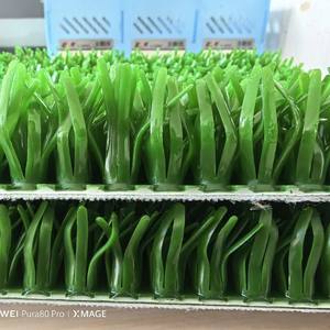 Tapis de prospection aurifère <span class=keywords><strong>en</strong></span> PE de 22 mm pour la prospection de l'or - Product Image 2