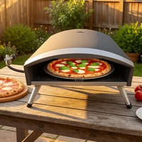 Barbecue portable de style coréen, moderne, sans fumée, en acier, avec revêtement en poudre, pour le camping, l'extérieur et l'intérieur, au gaz ou au charbon de bois