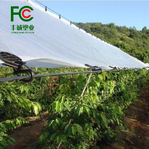 Film plastique anti-UV <span class=keywords><strong>pour</strong></span> <span class=keywords><strong>serre</strong></span> Bâche tissée robuste <span class=keywords><strong>pour</strong></span> vergers de cerisiers - Product Image 1