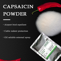 Capsaicin Perforiertes Scharfes Pfeffer-Capsicum-Pflaster Reines Capsaicin-Samen Reines Capsaicin 99