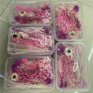 Paquete de flores secas E07119, paquete de flores prensadas para manualidades, para regalo - Product Image 3