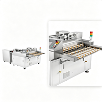 Machine de polissage automatique double face et ébavurage de pointe 220V Garantie 1 an