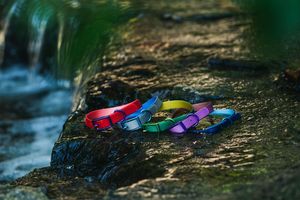 ปลอกคอสุนัข PVC มีริบบิ้นกันน้ำและสีพื้นปรับแต่งได้สำหรับสัตว์เลี้ยง - Product Image 4