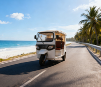 Tuk Tuk pour le transport quotidien, taxi public, meilleur prix pour les excursions, tricycle certifié UE