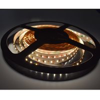 Bande LED flexible double blanc SMD 2216, blanc réglable 2700K-6500K, 240 LED/m, pour projets d'éclairage modernes