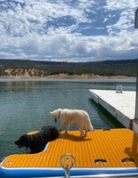 8 'X 5' rampe gonflable pour chien plate-forme pliable pour animaux de compagnie quai flottant avec Eva antidérapante