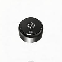 Bouteille diffuseur en verre écologique avec bouchon à vis, emballage personnalisé pour parfum d'ambiance, logo OEM en option, bouchon électrique, faible coût