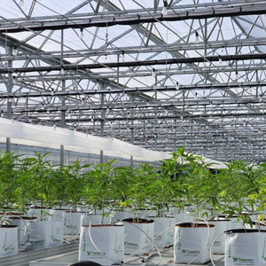 Invernadero de vidrio Venlo agrícola a gran escala con sistemas de control de clima para un crecimiento de plantas optimizado - Product Image 2