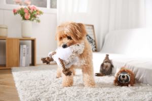 Nuevo diseño lindo vívido simulado forma de pájaro masticar cuerda chirriante perro de peluche juguete para mascotas - Product Image 5