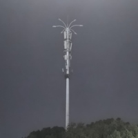 Tour d'antenne Wi-Fi fiable, galvanisée à chaud, hauteur de 5 à 200 m