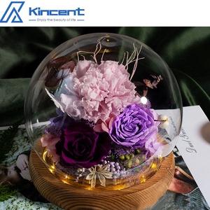Clavel Eterno Natural, Rosa Inmortal, Decoraciones <span class=keywords><strong>de</strong></span> Flores Reales, Regalos, <span class=keywords><strong>Rosas</strong></span> Eternas para Cumpleaños, Día <span class=keywords><strong>DE</strong></span> LA Madre - Product Image 6