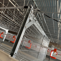 Équipement de ferme pour poulets de chair Volaille Hangar Système de cages d'élevage de poulets en fil de fer galvanisé Poulailler en acier automatique pour porcs