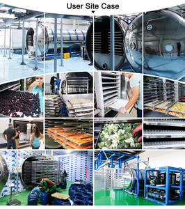 Équipement de lyophilisation Toption, capacité 100 kg/h, pour le traitement industriel des produits chimiques et alimentaires, chauffage à l'huile, SUS304 SUS316L - Product Image 5