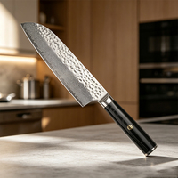 Ensemble de couteaux de chef en acier damas fini au laser de haute qualité, 5 pièces, manches en micarta, design ambidextre