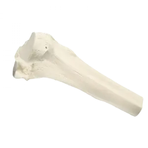 Модель твердой пены проксимальной третьей большеберцовой кости KyrenMed для ортопедической хирургической практики PFNA
