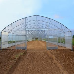 دفيئة كبيرة أحادية الامتداد من غشاء البولي إيثيلين مع إطار فولاذي مغلفن بالغمس الساخن وتهوية جانبية - Product Image 6