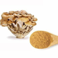 Fabrieksleverancier Natuurlijk Maitake Poeder Grifola Frondosa Vruchtvormende Lichaamspoeder Voedingsmiddelkwaliteit Grondstof