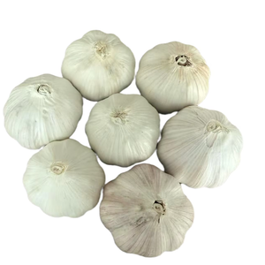 Chất lượng cao Trung Quốc tươi bóc vỏ tỏi Đinh Hương đáng tin cậy xuất khẩu ajo morado alho descascado hoàn hảo cho tỏi bánh mì - Product Image 2