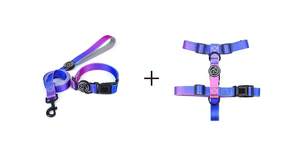 Harnais en métal Durable pour animaux, ensemble pour collier de chien, nouveau Design, fermeture ferme, couleur brillante, longueur chaîne de 150 cm - Product Image 6