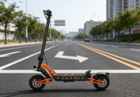 Trottinette électrique pliable à deux roues, puissante et avancée, 1650W, moteur sans balais, double capteur, IP65, cadre en alliage d'aluminium, vitesse 55KM/H, charge 120KG