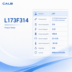 Sel Baterai LiFePO4 CALB Resmi 3.2V 314Ah 8000 Siklus Grade A Harga Pabrik Langsung MOQ Rendah 30pcs untuk ESS Grosir - Product Image 2