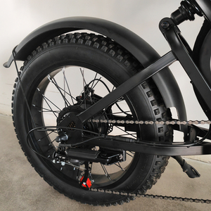 Bicicletas Eléctricas de Alto Rendimiento con Batería de Iones de Litio de 48V 500w 750w, Autonomía de 60 km, Modelo FW-F02 - Product Image 6