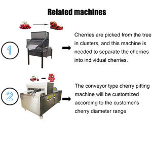 Máquina Despulpadora de Cerezas Automática Más Vendida, Despulpadora de Cerezas Hecha en China - Product Image 4