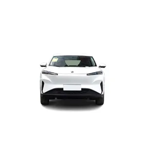 2023 Dongfeng 여객 수송 차 EV SKY 01 PRO 리튬 철 배터리 싼 자동차 차량 EV 자동차 판매