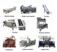 Machines de traitement des plantes, 30g, 1T par heure, pour la production de sauce tomate
