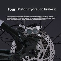 Vélo de montagne à suspension souple Ailude XC-200, cadre en alliage d'aluminium, axe traversant, amortisseur à air, frein à disque hydraulique, pneus 2.3