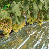 Film réfléchissant pour plantes, feuilles de papier d'aluminium de 0,012 mm, paillis agricole, couverture hautement réfléchissante pour serre de jardin, lumière de croissance