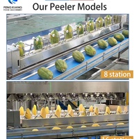 Fengxiang 1000-2000kg/uur Fruit- en groente-papaya schil- en halve-snijlijn 304 roestvrij staal hoge CE-certificering 220V/380V
