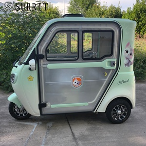 Tricycle électrique SURRIT à cabine fermée, 2 places, 48V 501-800W, trike pour adultes, vert menthe avec décorations de dessins animés - Product Image 4