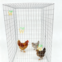 Cage à poules pondeuses sur mesure avec porte latérale et supérieure, conception pliable pour poulets de combat 1m*1m*1m, facile à assembler