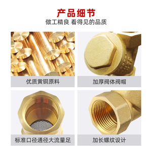Filtre à eau Converse Brass Y Type DN15 DN50 avec valve et maille en acier inoxydable pour usage domestique - Product Image 4