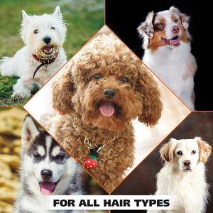 Champú Natural Orgánico Concentrado para Mascotas con Aroma a Pera <span class=keywords><strong>Blanca</strong></span>, Blanqueador y Eliminador de Olores para Perros y Gatos Blancos - Product Image 4