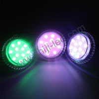 Lampes LED programmables DC24V étanches IP66 avec corps en PC pour parcs d'attractions extérieurs