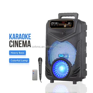 Outdoor Karaoke Par lantes 8 Zoll Trolley Party Tragbarer Bluetooth-Lautsprecher mit LED-Display Woofer-Lautsprecher