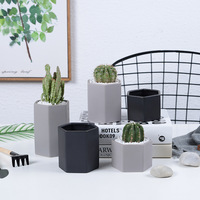 Pot de fleurs en céramique écologique au design moderne avec trou de drainage pour plantes succulentes, décoration de jardin et de bureau